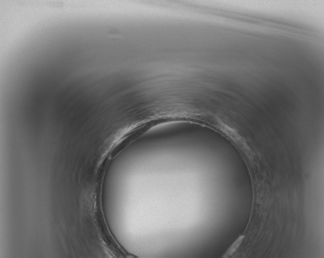 X0000059830060200510281808