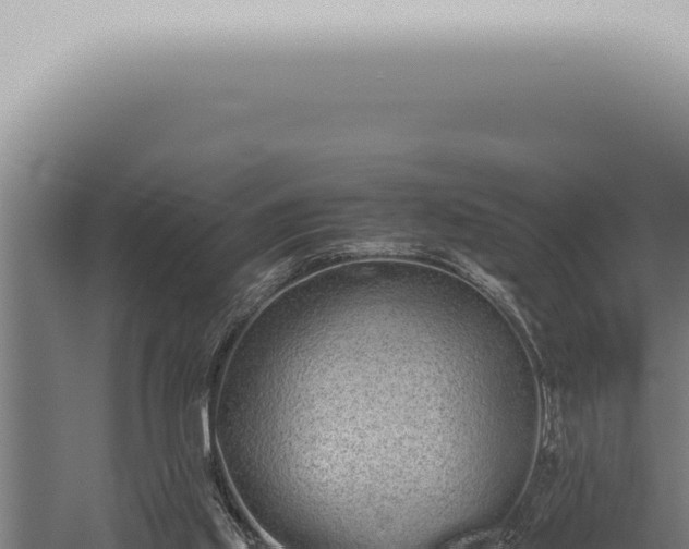 X0000059830061200510281808