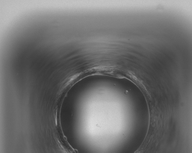 X0000059830062200510281808