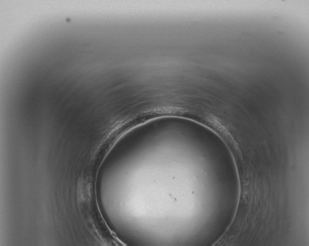 X0000059830063200510281808