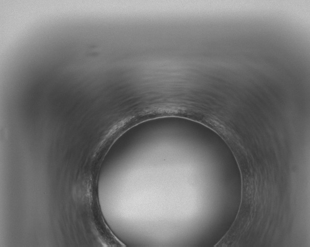 X0000059830064200510281808