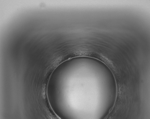 X0000059830065200510281808