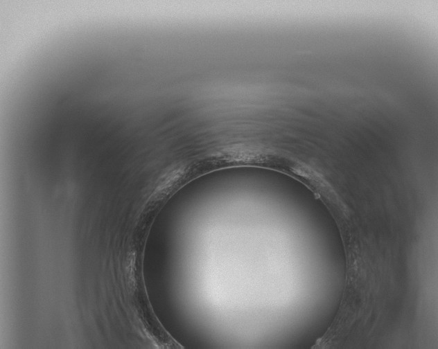 X0000059830066200510281808