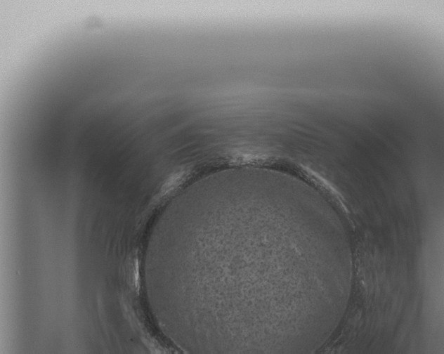 X0000059830067200510281808