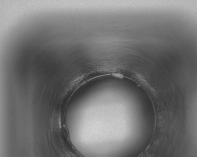 X0000059830068200510281808