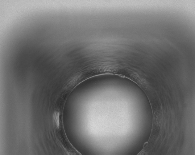 X0000059830070200510281808