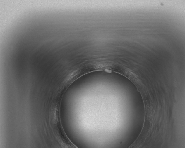 X0000059830071200510281809