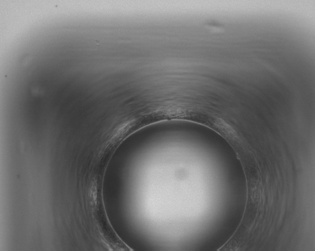 X0000059830072200510281809