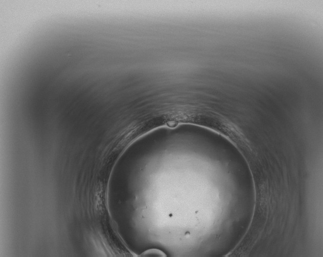 X0000059830073200510281809