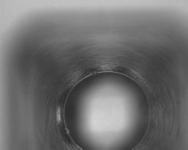 X0000059830075200510281809