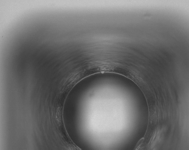 X0000059830078200510281809