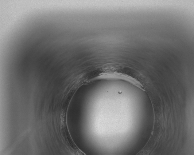 X0000059830081200510281809