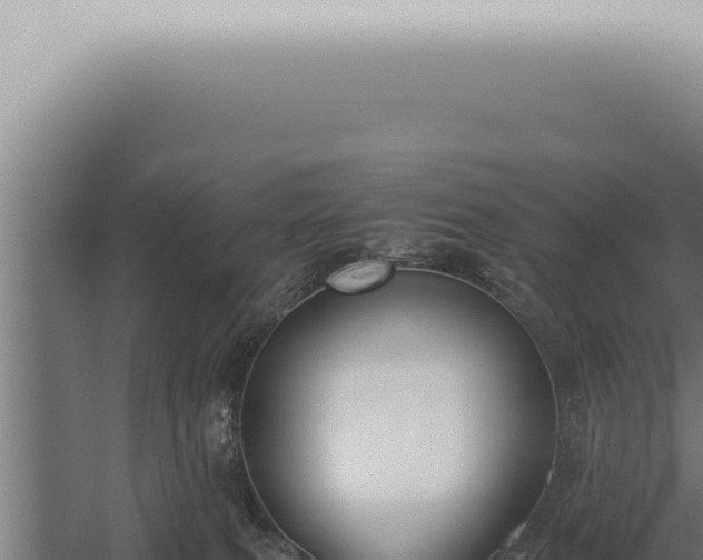 X0000059830087200510281809