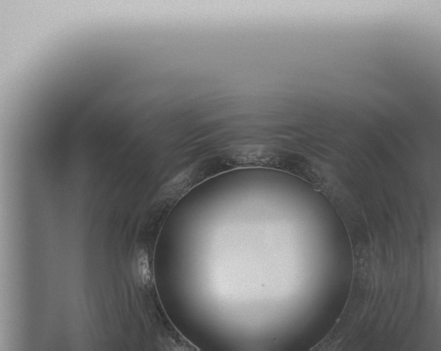 X0000059830089200510281809