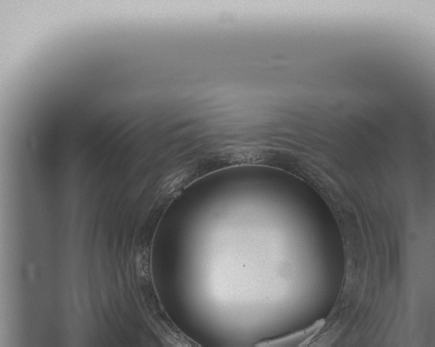 X0000059830096200510281809