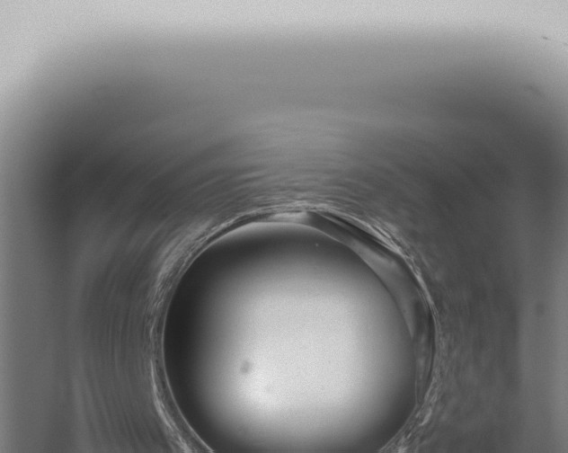 X0000059830097200510281808