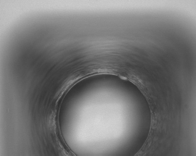 X0000059830098200510281808