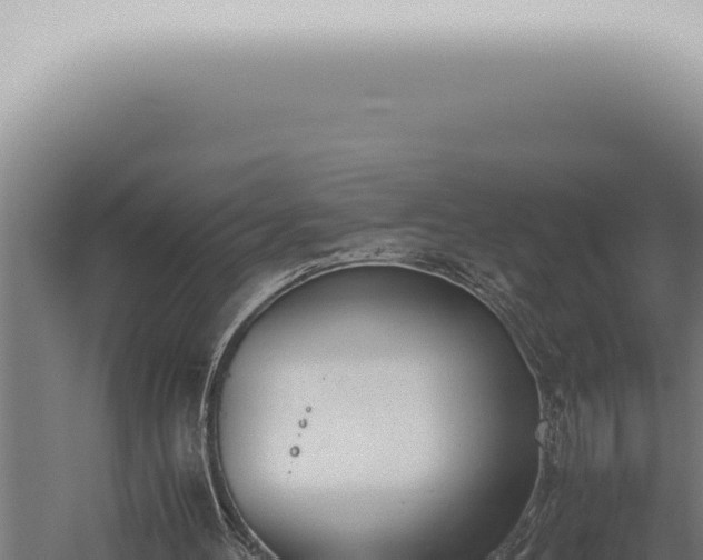 X0000059830100200510281808