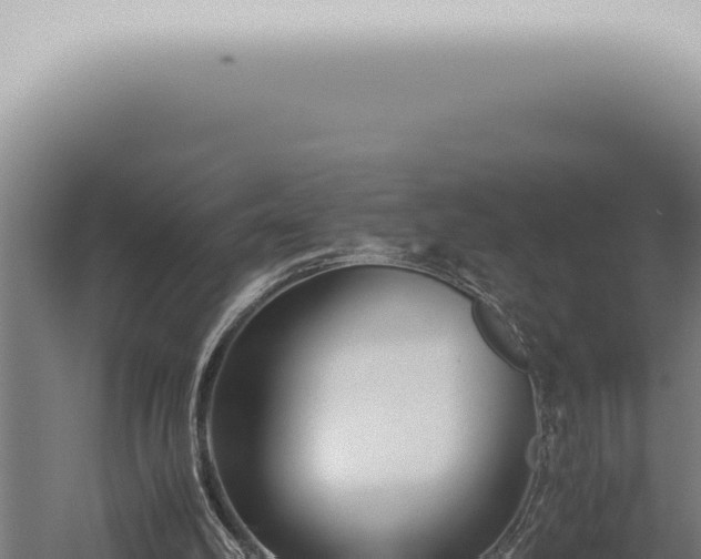 X0000059830102200510281808