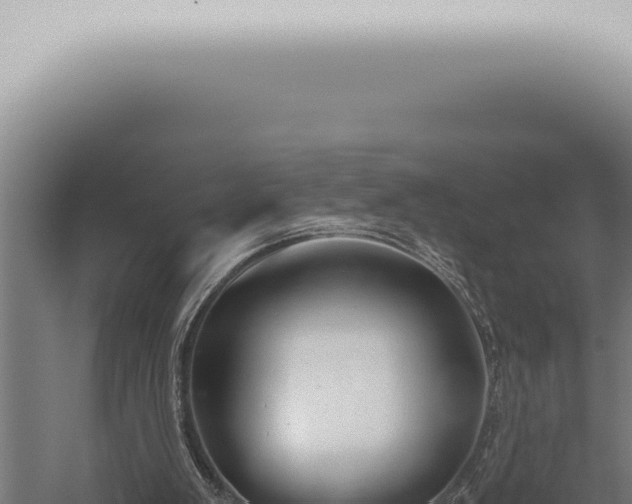 X0000059830103200510281808