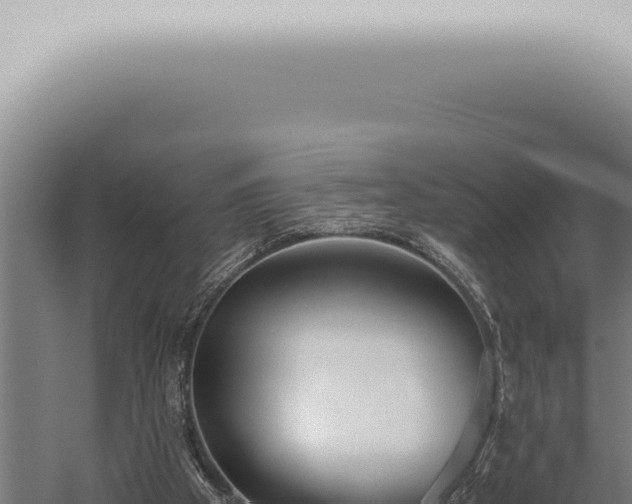 X0000059830105200510281808