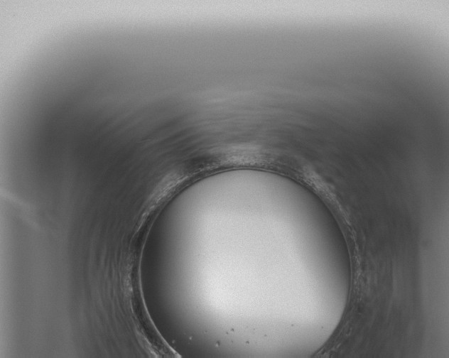 X0000059830106200510281808