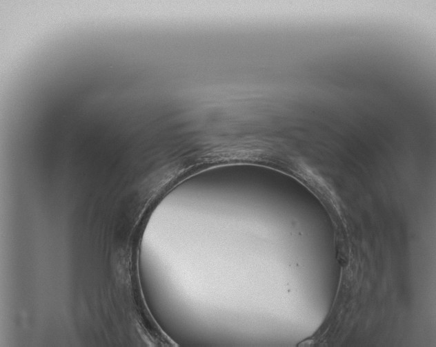 X0000059830107200510281808