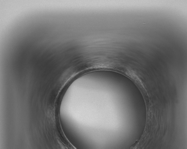 X0000059830108200510281808