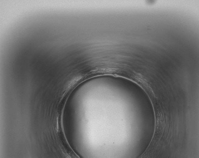 X0000059830110200510281808