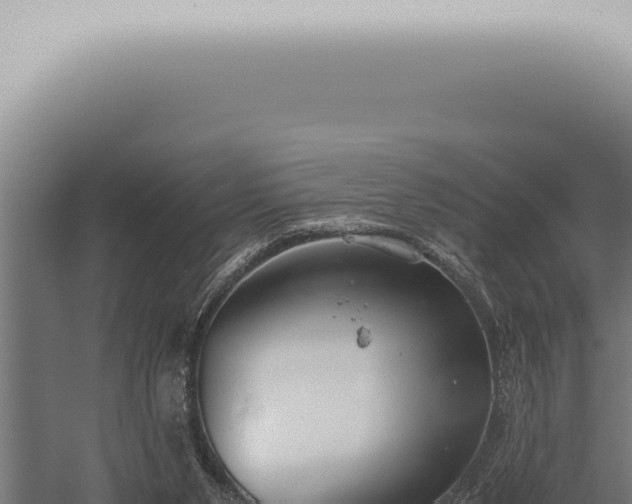 X0000059830111200510281808