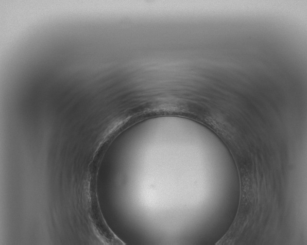 X0000059830112200510281808