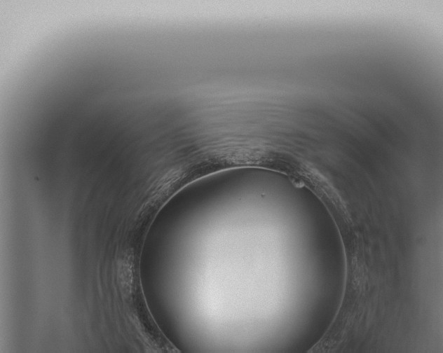 X0000059830113200510281808