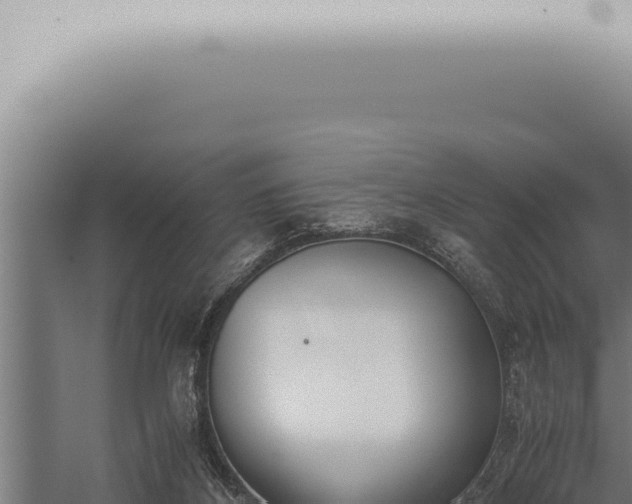 X0000059830116200510281808