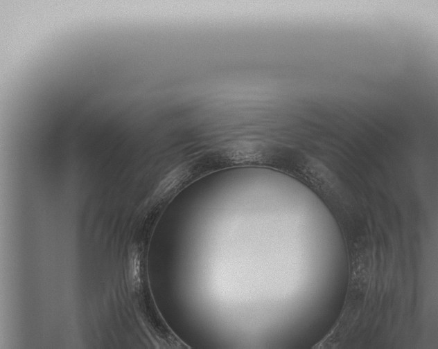 X0000059830124200510281808