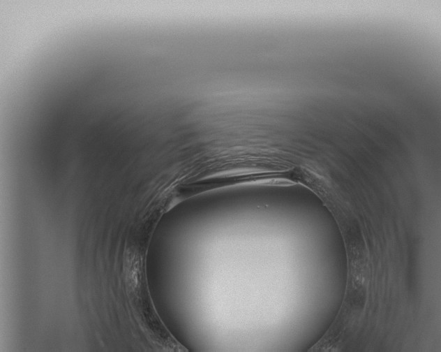 X0000059830125200510281808