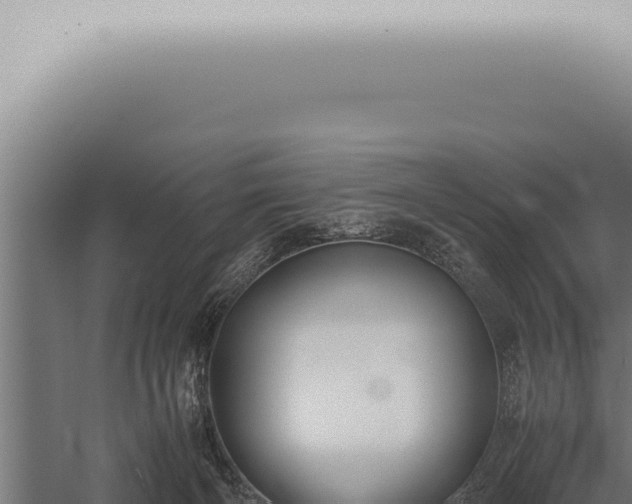 X0000059830126200510281808