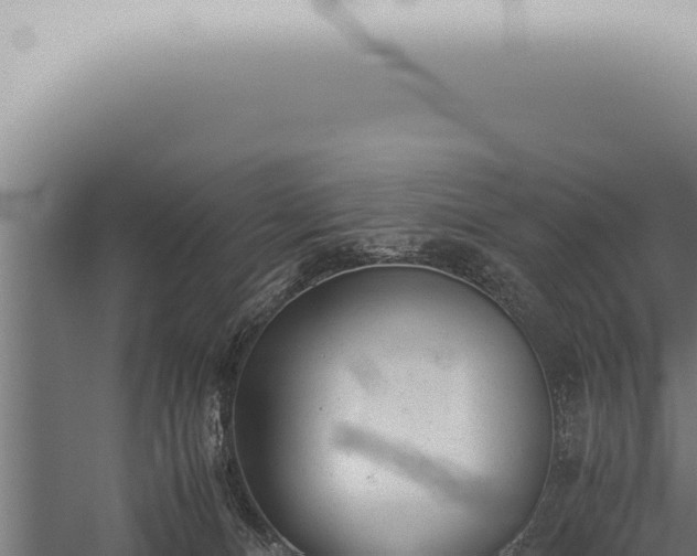 X0000059830128200510281808