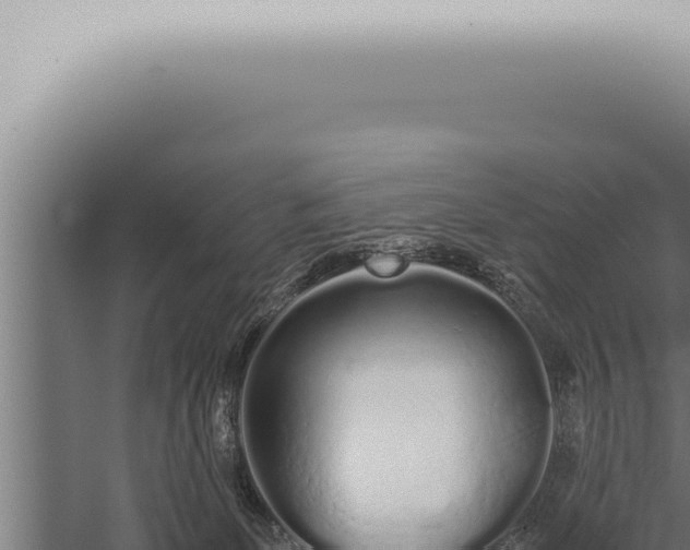 X0000059830131200510281808