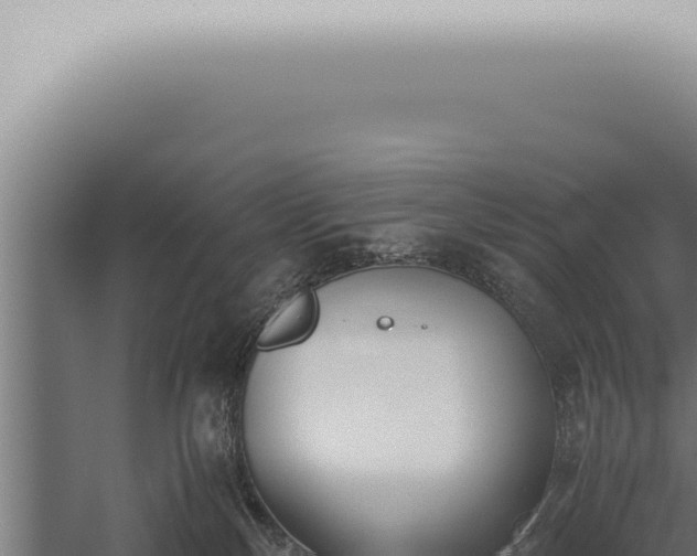 X0000059830136200510281807