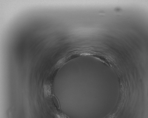 X0000059830139200510281807