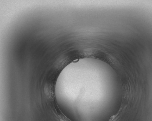 X0000059830140200510281807