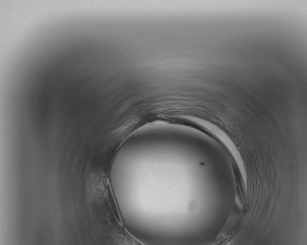 X0000059830141200510281807