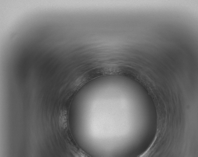 X0000059830144200510281807