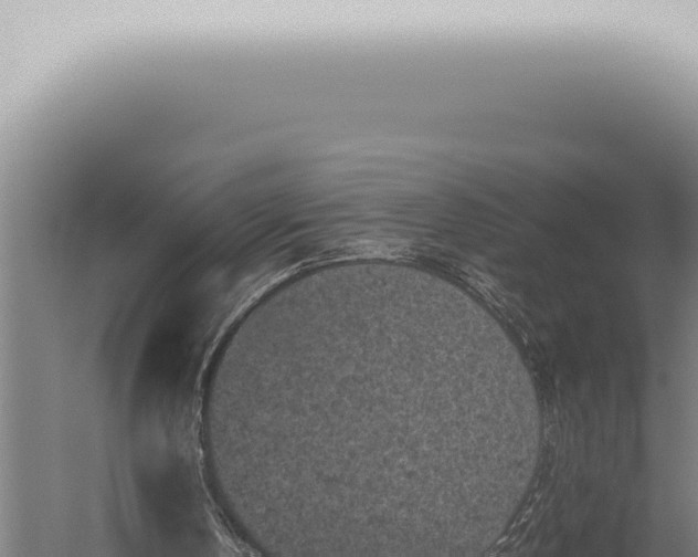 X0000059830146200510281807