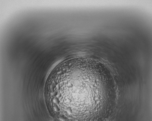 X0000059830147200510281807