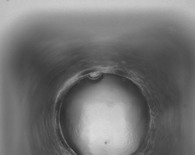 X0000059830149200510281807