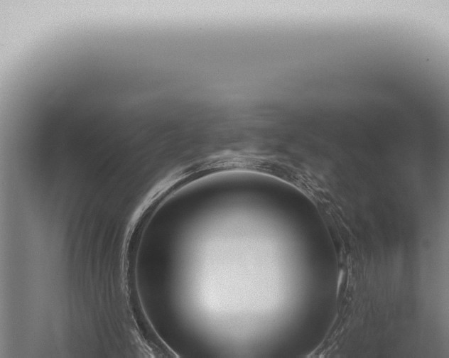 X0000059830150200510281807