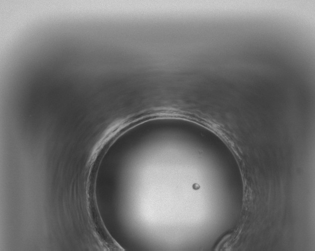 X0000059830151200510281807