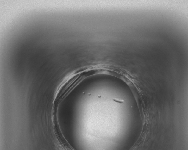 X0000059830152200510281807