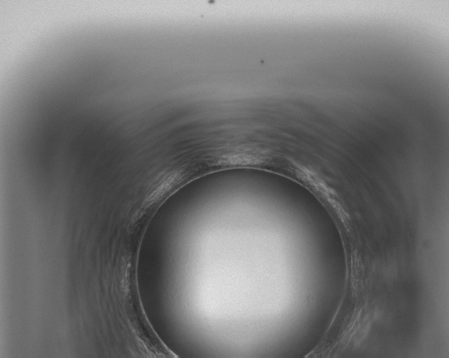 X0000059830153200510281807